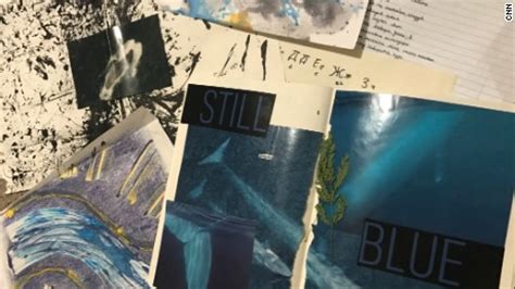 rina palenkova teste|Family finds clues to teen’s suicide in blue whale paintings.